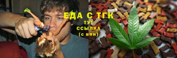 гашик Арсеньев