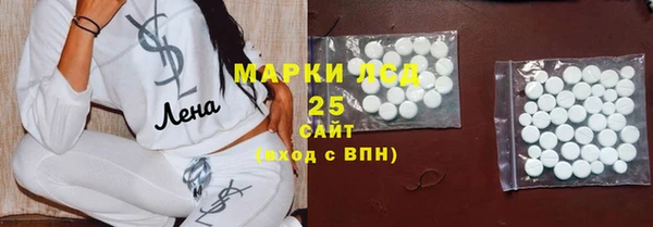 гашик Арсеньев