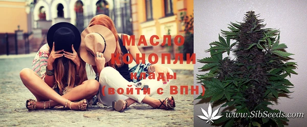 гашик Арсеньев