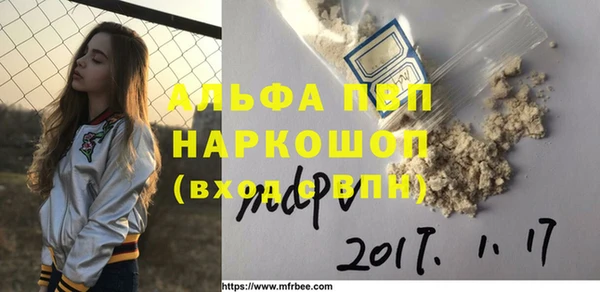 гашик Арсеньев